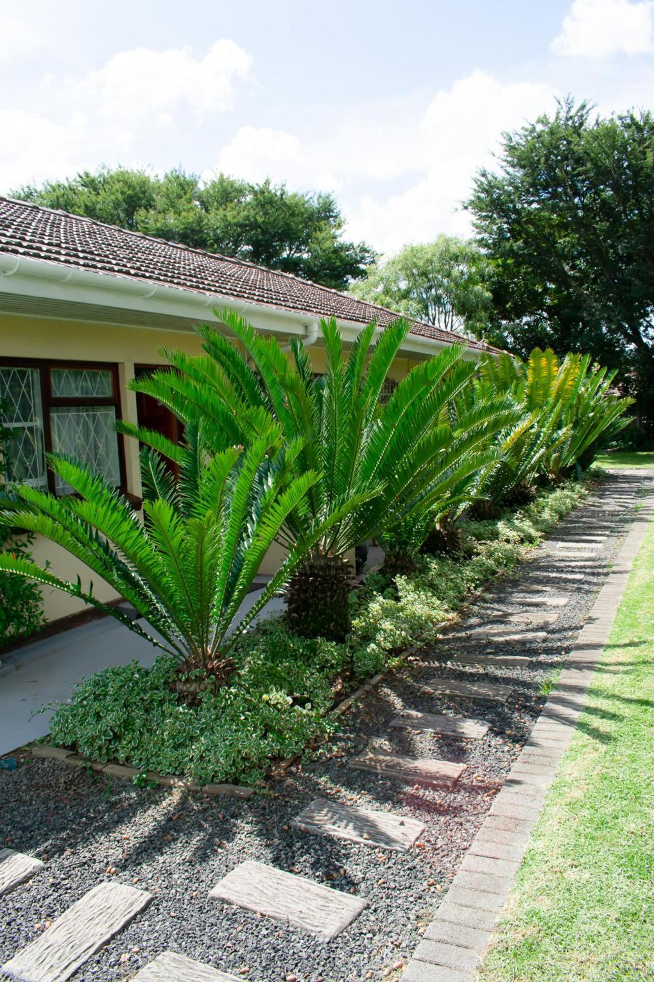 Chez Nous Bed And Breakfast & Self Catering Dundee Bagian luar foto